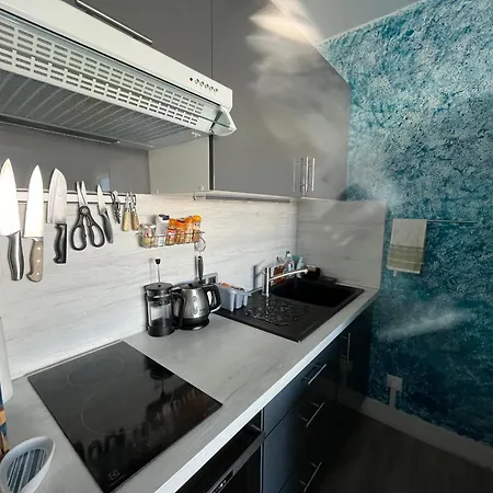 T2 Avec Terrasse, Parking Prive Et Wi-fi Inclus - Fr-1-319-144 ארסשון