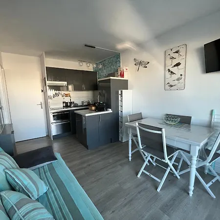 Arcachon T2 cabine avec terrasse, parking privé et Wi-Fi inclus - FR-1-319-144 Appartement Arcachon